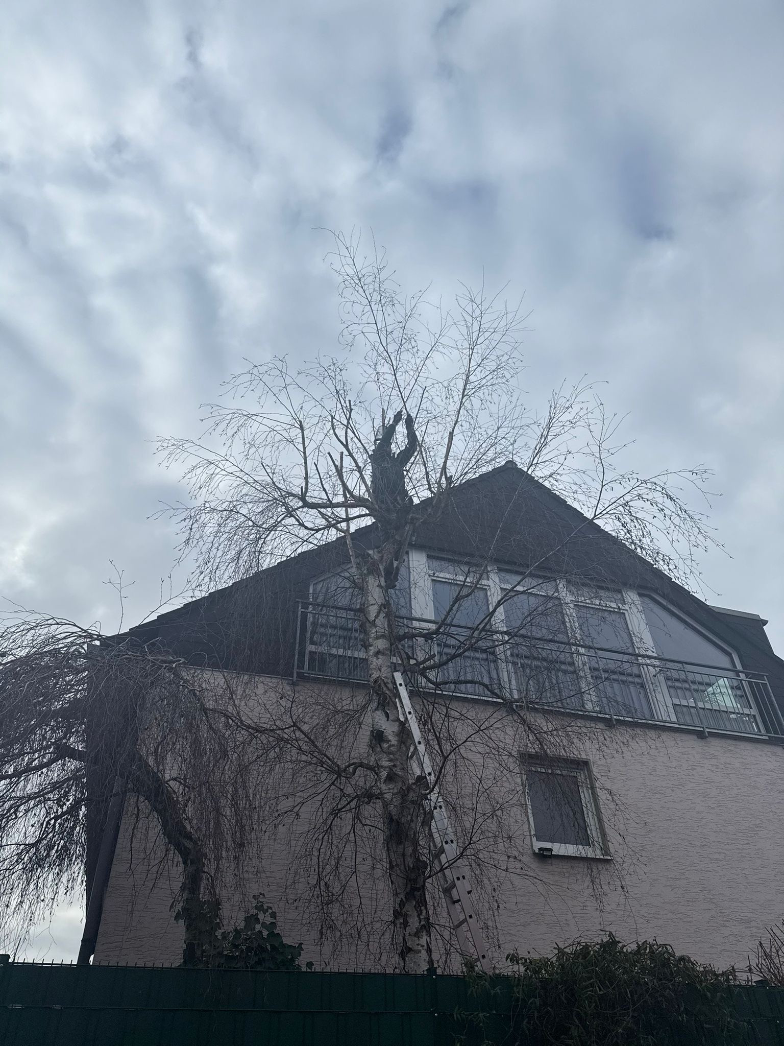 Zuschnitt